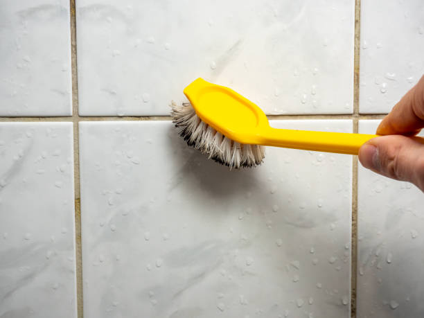 Best Residential Mold Remediation in Waverly, NY