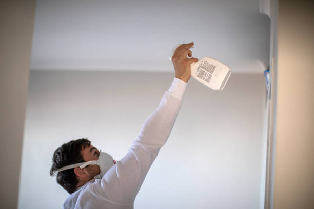 Best Insurance-Related Mold Remediation in Waverly, NY