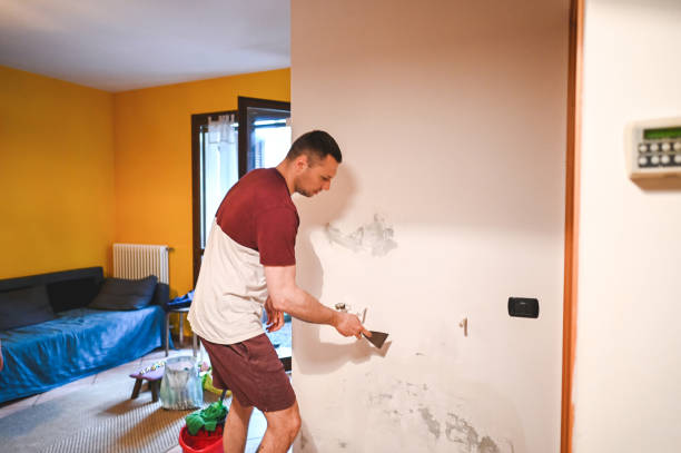 Best Mold Remediation for Schools in Waverly, NY